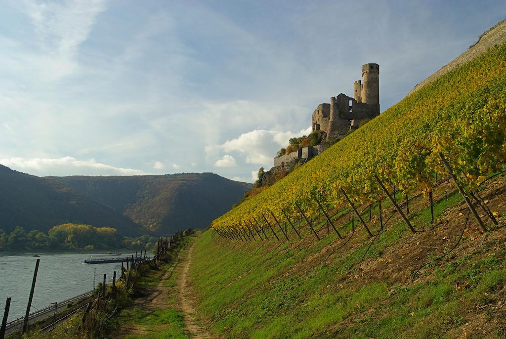 Residence Bellevue Boppard Esterno foto